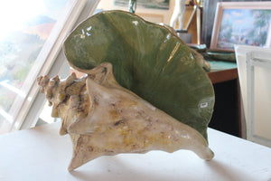 Ceramic Conch Shell, Green