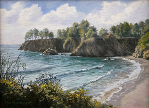 Mendocino Cove (Original)